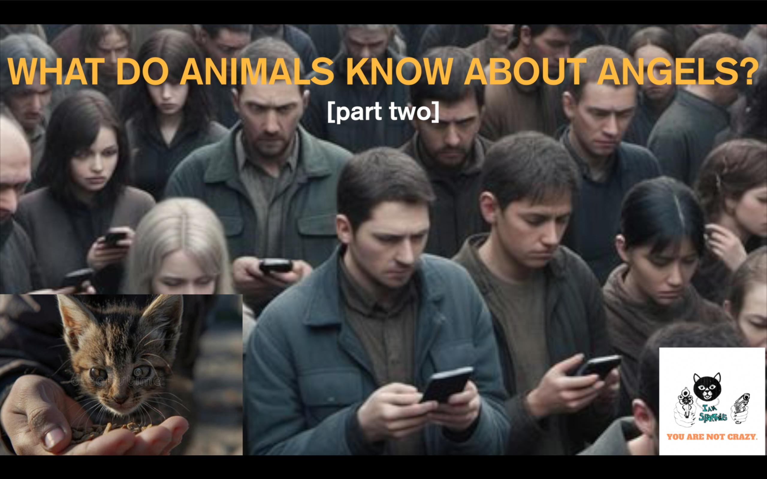 What do animals know about Angels? [part two]