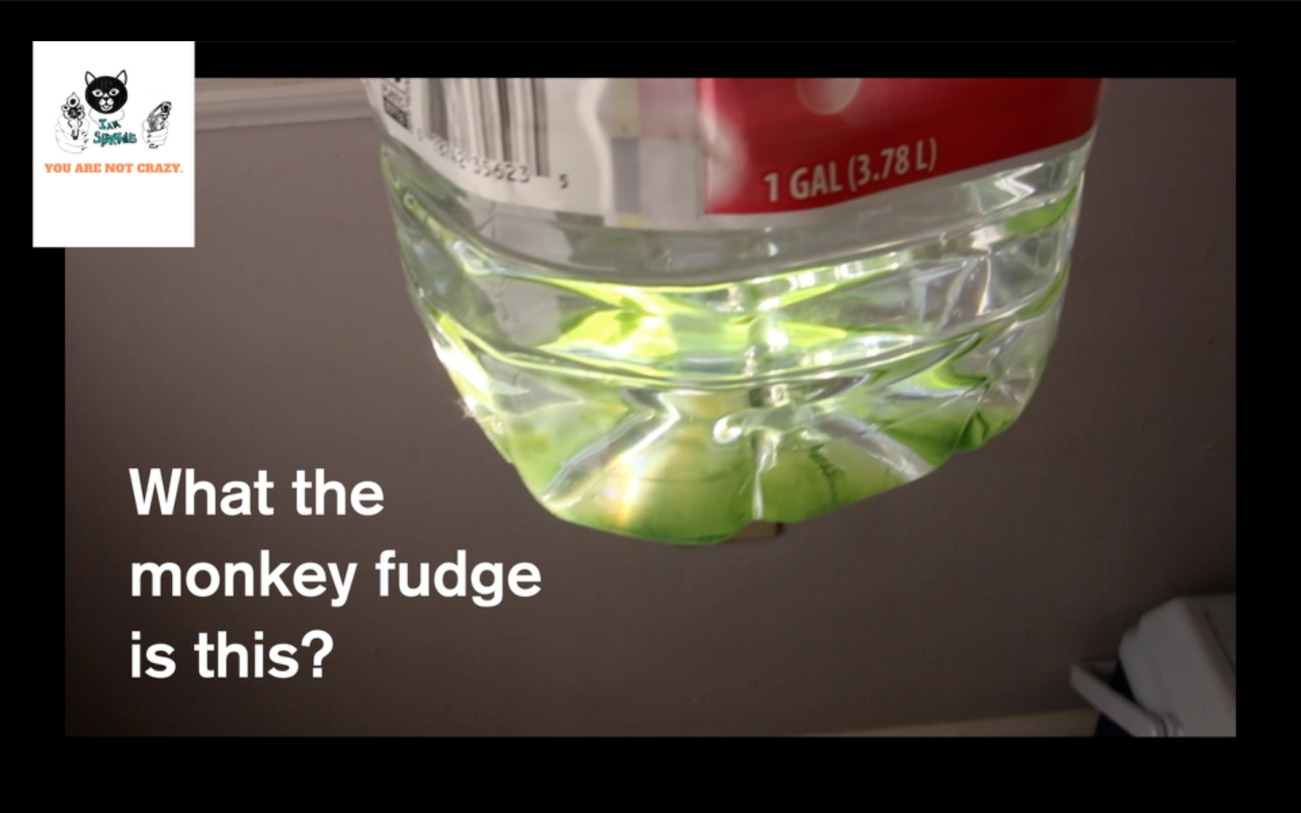 What The Monkey Fudge Is This?